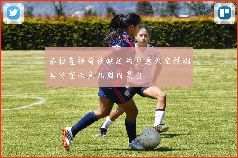 弗拉霍维奇伤缺近两月意天空预测其将在未来几周内复出