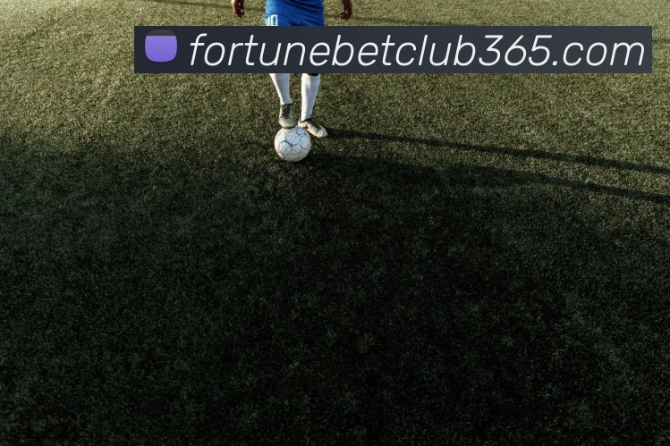 fortune体育发展历程
